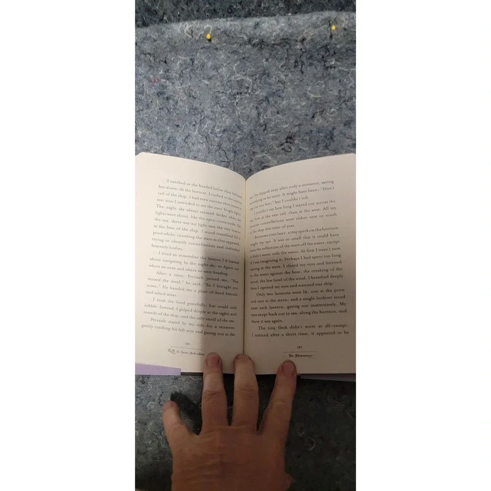 The Stowaway: Stone of Tymora, Book‎ I by R.A. Geno